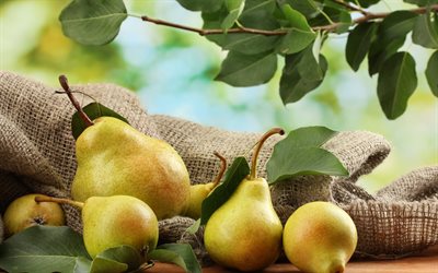 fruit, ripe pear, pears, photo