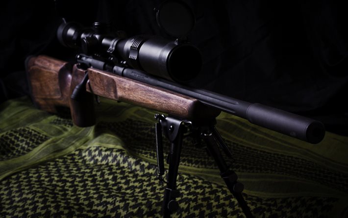 sniper rifle, camouflage, bs-ms