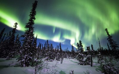 प्रकृति के चमत्कार, उत्तरी रोशनी, अलास्का