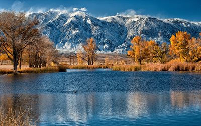snow, autumn, covered mountains, geese