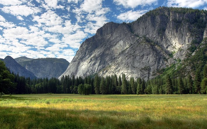 mountain, national park, yosemite, lawn, california