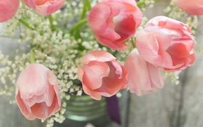 fiori rosa, petali di rosa, tulipani