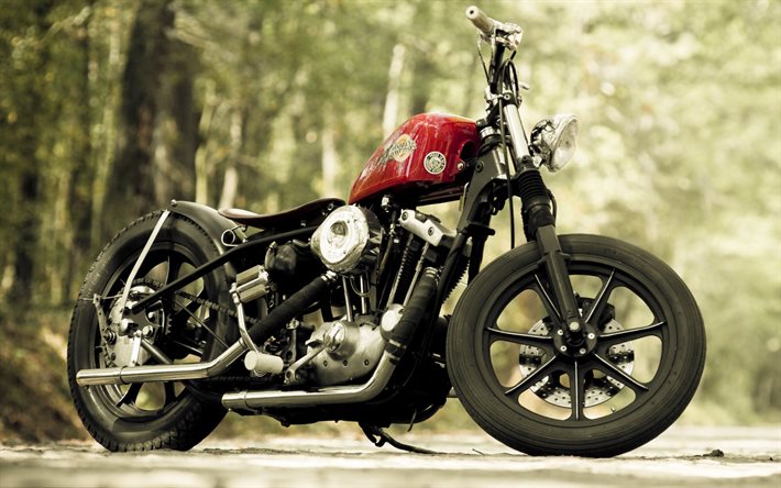 Harley-Davidson, fresco di moto, harley