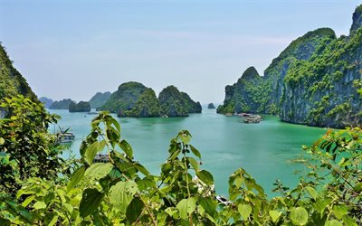 una preciosa cala, la naturaleza de vietnam, la bahía de halong, vietnam, la bahía de ha long