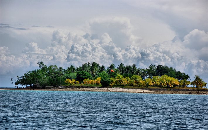 야자수, 섬, 폭풍 구름
