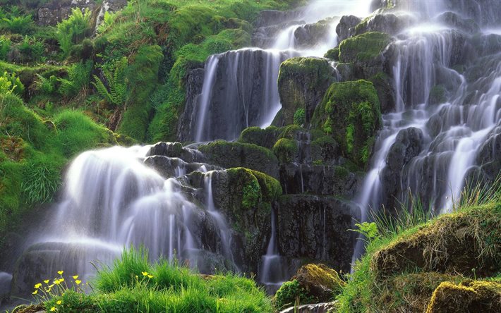 moss, photos of waterfalls, moisture, waterfall, freshness
