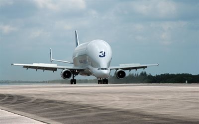 unusual aircraft, photo, the airbus a300-600st, super transporter, the airbus beluga