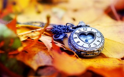 relógio de bolso, tempo, outono, hora