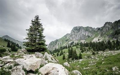 kallio, vuoret, sveitsi, upea luonto