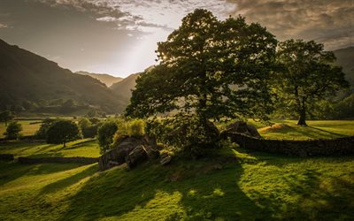the rays of the sun, summer, valley, trees