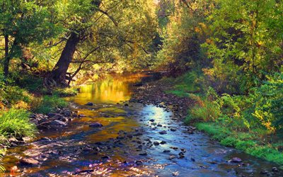 rauhallinen puro, joki, metsä