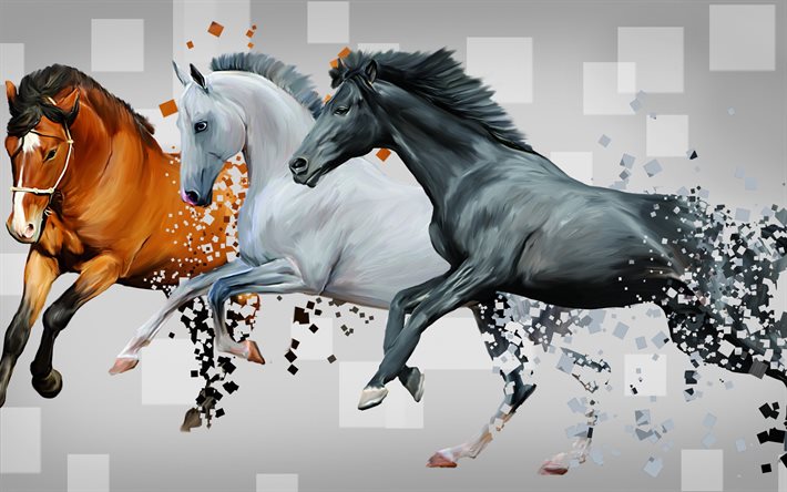 horses, brown horse, white horse, three horses, grey horse