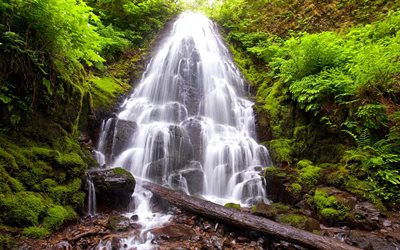 friskhet, vackert vattenfall