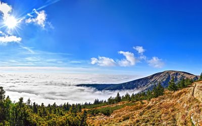 above the clouds, white clouds, mountains, the sky