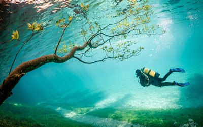 lago verde, austrália, mergulhador, mergulho