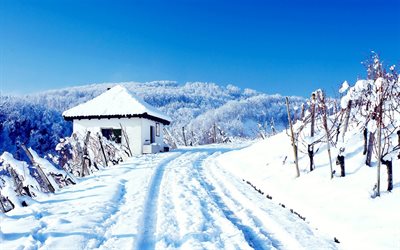 winter, snow-covered road, snow