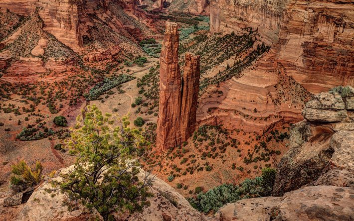 山の風景, キャニオン, 米国, 褐色の岩