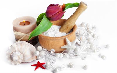 shells, drops, tulip, flowers, candles, spa, photo, spa treatments