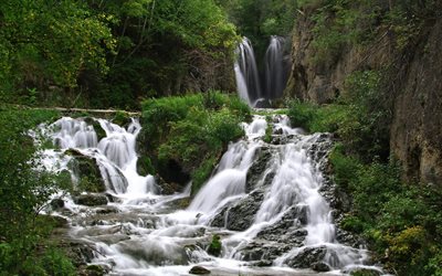 friskhet, grön skog, vattenfall, foto
