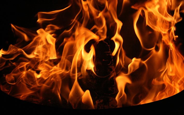 chama, pedaços de madeira em chamas, fogo, o fogo