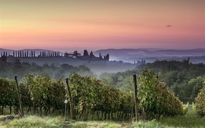 valley, tuscany, the nature of italy, fog, morning