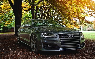 Audi S8, en 2016 los coches, coches de lujo, sedanes, otoño, gris s8, Audi