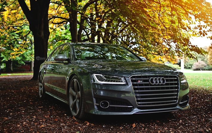 Audi S8, 2016 automobili, auto di lusso, berline, autunno, grigio s8, Audi
