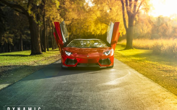 Lamborghini Aventador Roadster, 2016, strada, autunno, rosso aventador