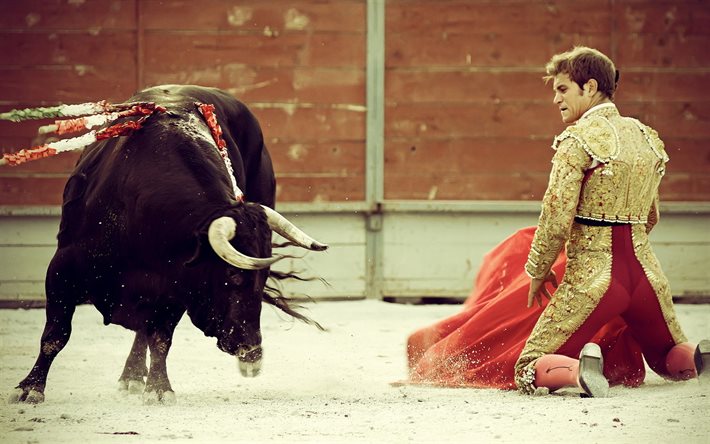 toreador, corrida, bull, Spain