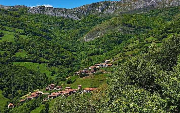 Proaza, dağlar, Asturias, yaz, orman, Spain
