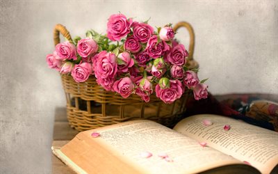 gammal bok, retro, rosa rosor, korg med blommor, rosor