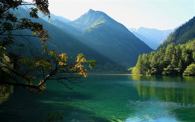 sjö, berg, skog, kina, jiuzhaigou national park