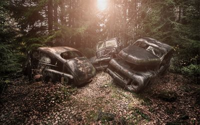 terk edilmiş arabalar, orman, çöplük, paslı arabalar, paslı araba gövdeleri, araba çöplüğü, eski arabalar