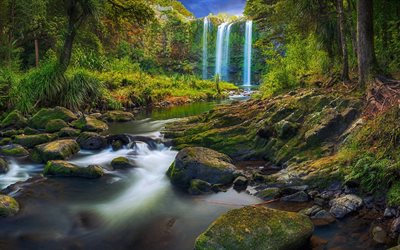 whangarei falls, 4k, natureza selvagem, selva, cachoeiras, nova zelândia, oceania, bela natureza