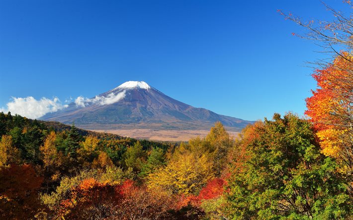 Japan, Mount Fuji, autumn, forest, volcano