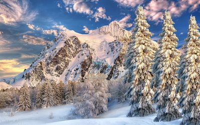 mountains, rock, winter, a lot of snow, forest