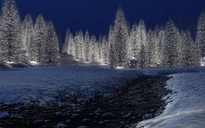 invierno, decoración de árboles de navidad, bosque, fantasía