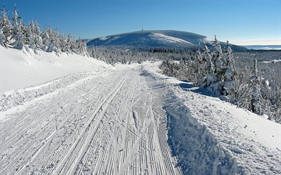 ski trail, ski resort, snow