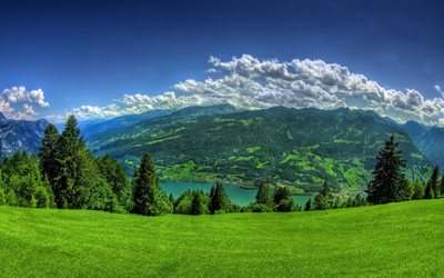 le vert de l'herbe, des collines, le lac, les montagnes