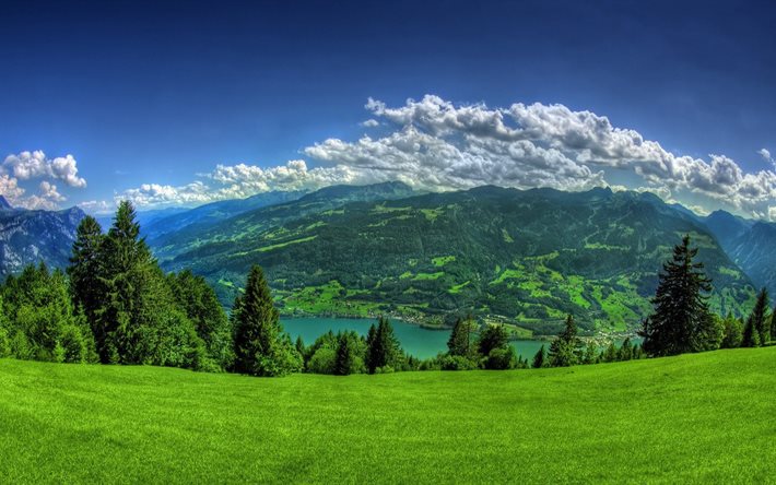 緑の芝生, ヒルズ, 湖, 山々