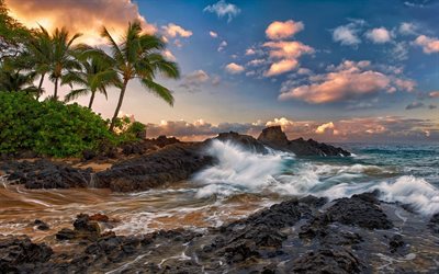열대 coast, 바, coast, 미국, 하와이, 열대, 섬, tropical beach, 마우이