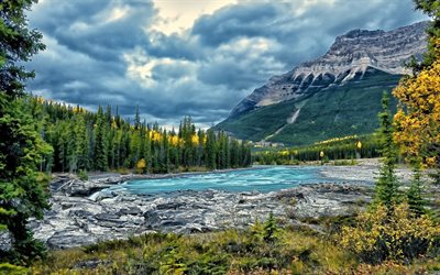 nationalpark, jaspis, natur kanada, berg, kanada