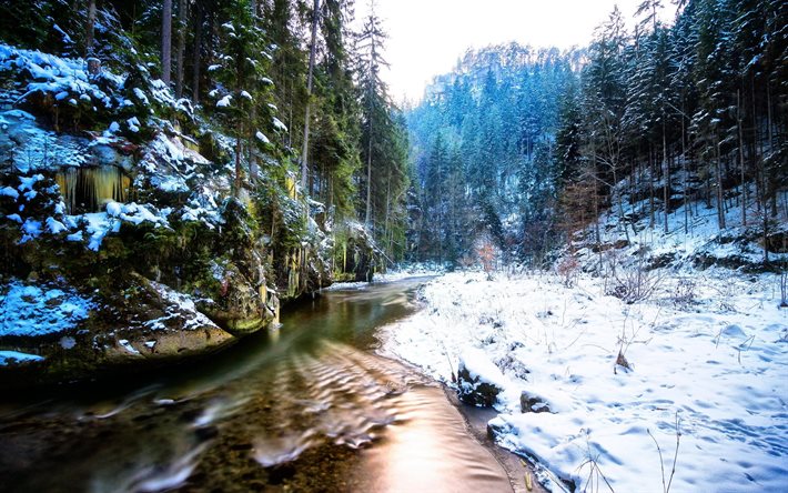 l'hiver, ruisseau, forêt, flux de photos