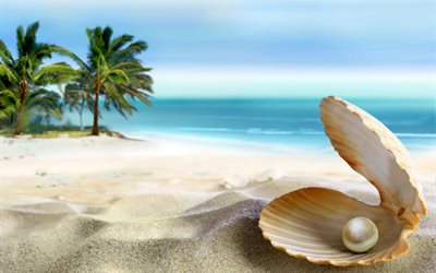 the ocean, the beach, shore, sea, sand, water, palm trees, nature, the sky, sink, pearl, shell