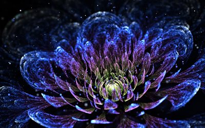 flower, fractal, abstraction, graphics, chrysanthemum