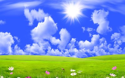 graphics, nature, field, flowers, kosmeya, hills, the sky, clouds, the sun