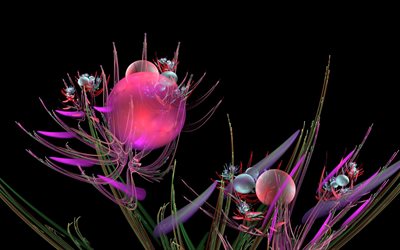 flowers, grass, flower, fractal, sfry, abstraction, graphics, bubbles