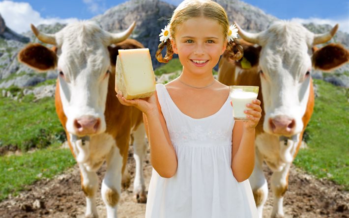 braids, nature, flowers, smile, chamomile, mountains, girl, animals, cows, child, glass, milk, children, cheese, the piece
