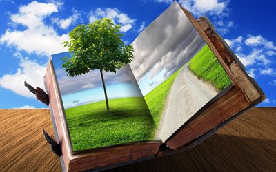 tree, road, field, book, creative, nature, graphics, the sky