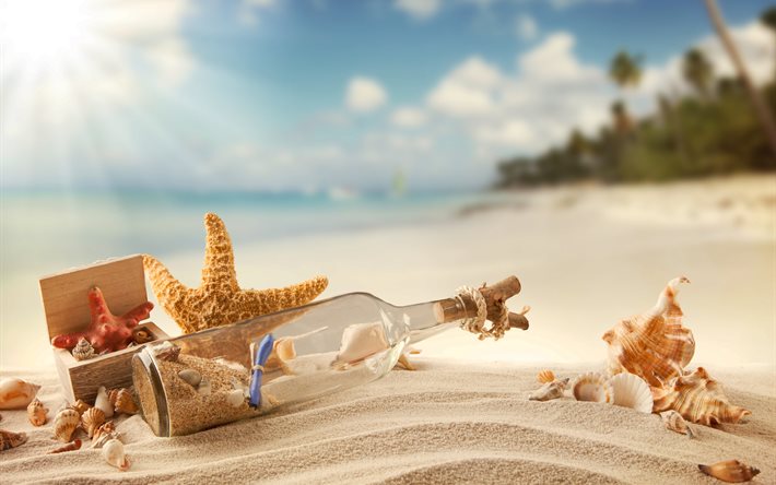 the beach, shore, sand, palm trees, the ocean, shells, bottle, sea, stars, box, nature, the sky, the sun, rays